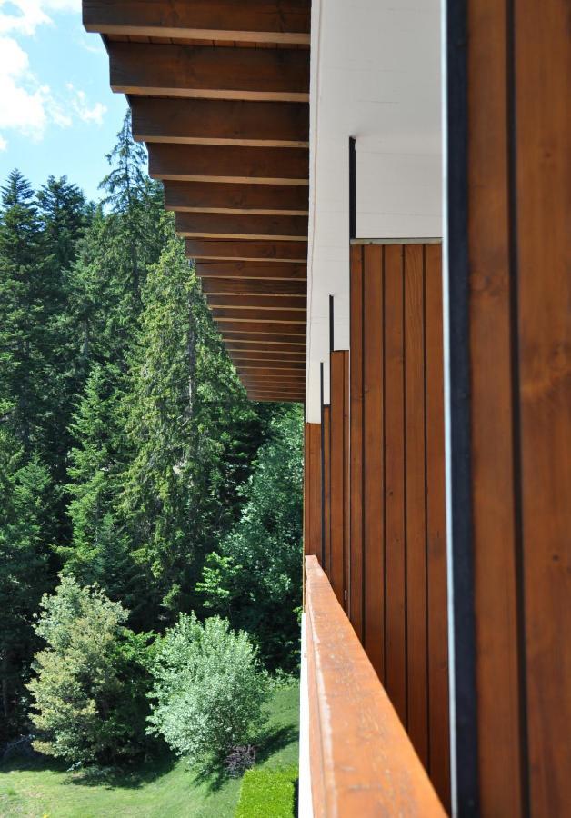 Hotel Historique Chez Elsy - Crans-Sapins Εξωτερικό φωτογραφία